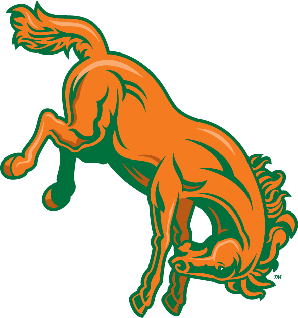 Texas-Pan American Broncs 2010-2014 Alternate Logo v2 diy DTF decal sticker